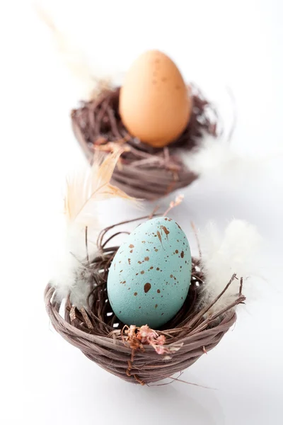 蜡笔色巢的复活节彩蛋 — 图库照片