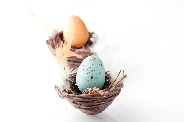 Pastell Gefärbte Ostereier Einem Nest — Stockfoto