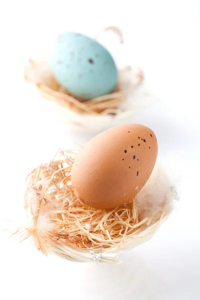 Пасхальные Яйца Цвета Пастели Гнезде — стоковое фото