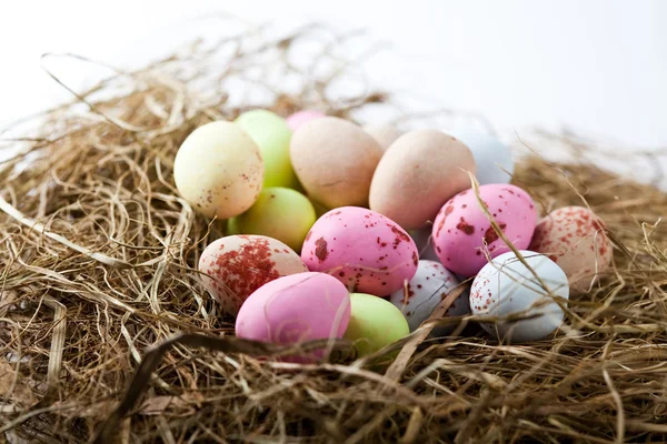 Pastel Colored Easter Eggs Nest — Stock Photo, Image