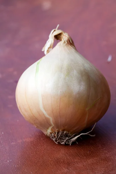 Yellow onion — Stock Photo, Image