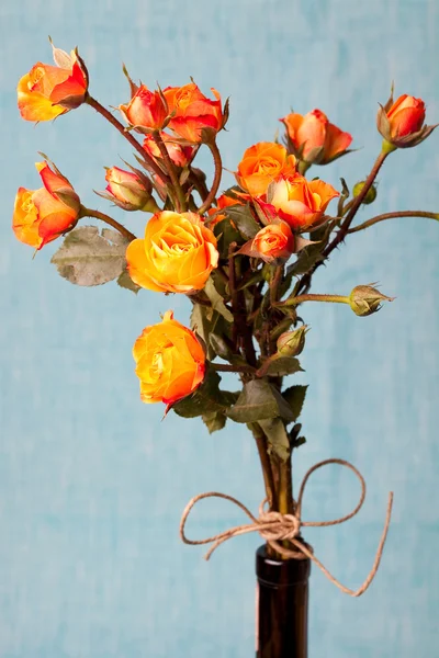 Orangene Rosen — Stockfoto