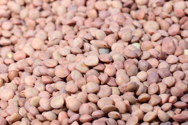 Leguminosa, guisado de lentilha — Fotografia de Stock