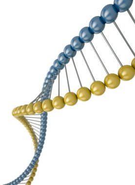 DNA strand clipart