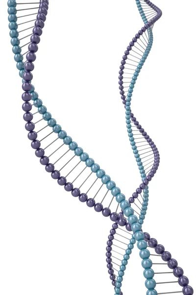 DNA鎖 — ストック写真