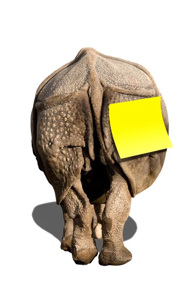 stock image Rhino with Notice Sticker Tag Isolated