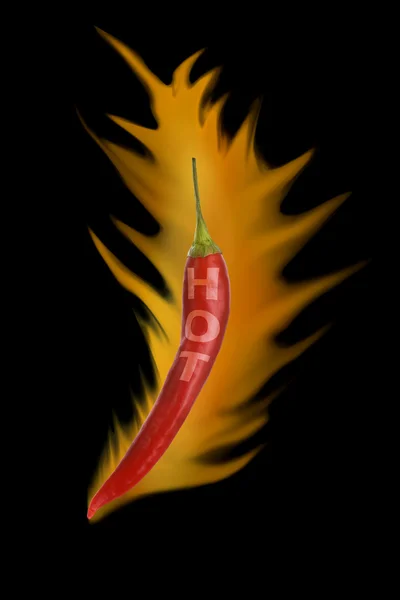Varma röda mexikanska chili peppar — Stockfoto
