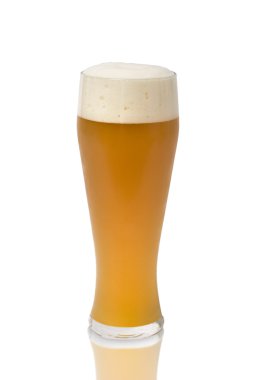 Bavyera oktoberfest bira cam