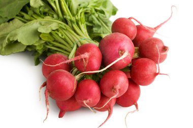 Fresh Radishes clipart