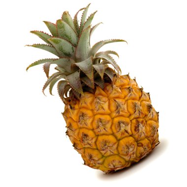 Fresh Pineapple Fruit Isolated on White Background clipart