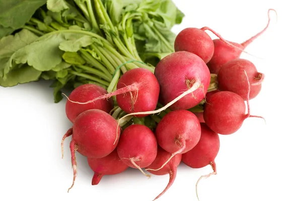 stock image Fresh Radishes