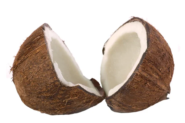 Coconut Still Life Isolated — Stock Photo, Image