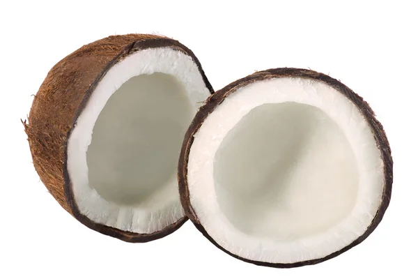 stock image Coconut Still Life Isolated