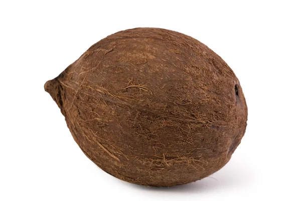 Bodegón de coco aislado —  Fotos de Stock