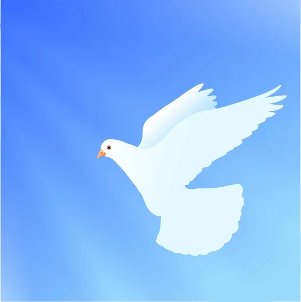 Weiße Taube — Stockvektor
