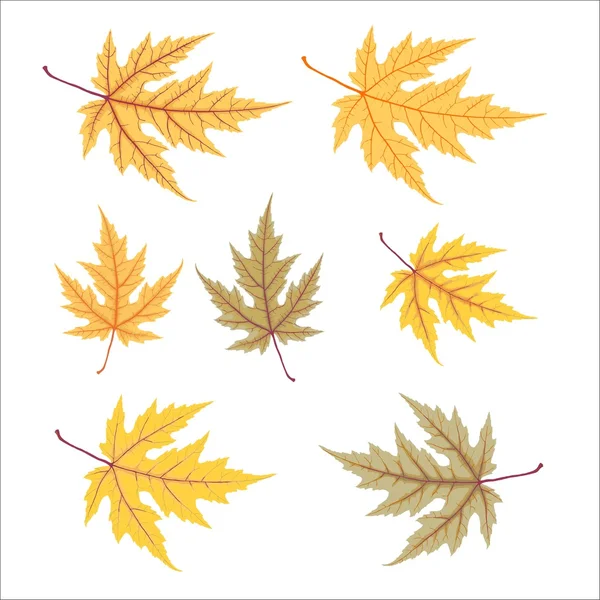 Žluté a červené podzimní listí — Stockový vektor