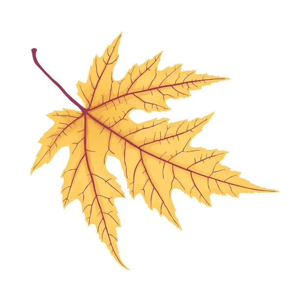 Gelbes Herbstblatt — Stockvektor