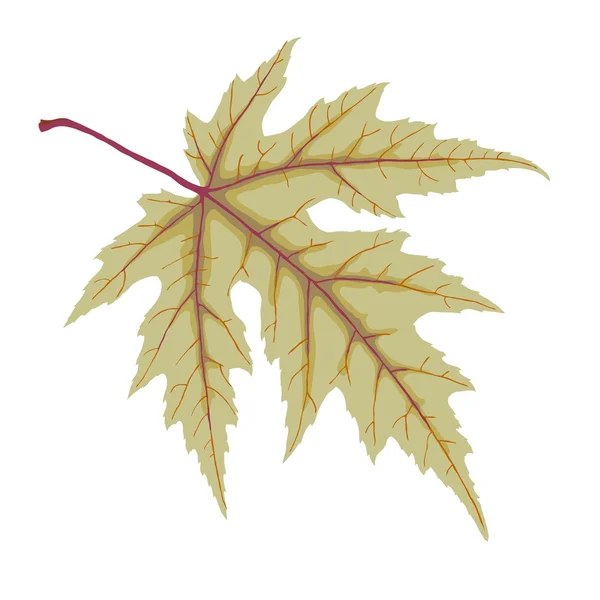 Feuille d'automne — Image vectorielle