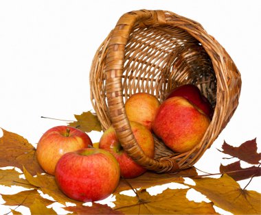 Apples fell from the basket clipart