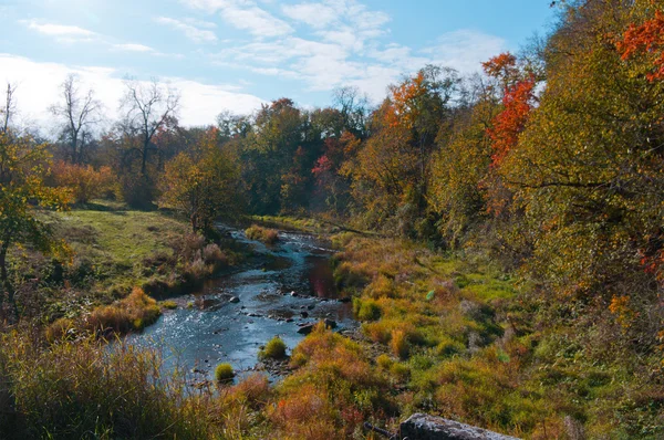 stock image Autumn landscape