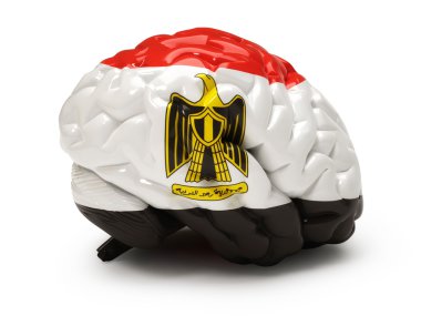 Egyptian flag on Human brain isolated on white clipart