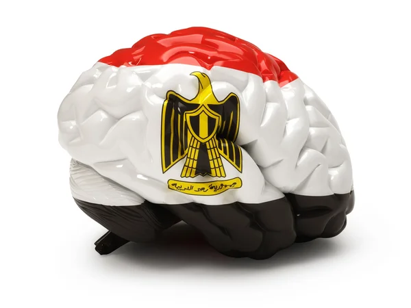 Bandeira Egípcia Cérebro Humano Isolado Branco — Fotografia de Stock