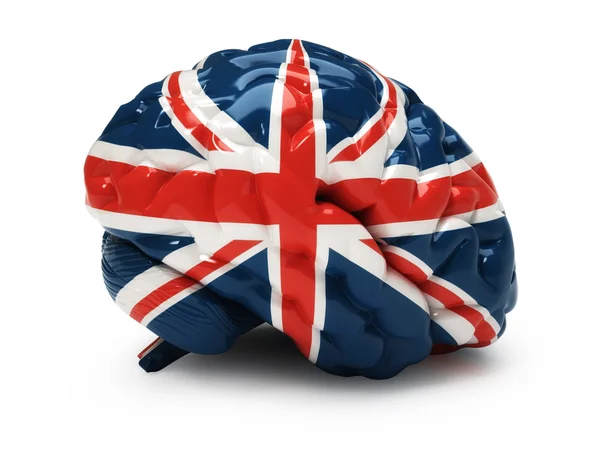 Engeland Vlag Menselijke Hersenen Geïsoleerd Wit — Stockfoto
