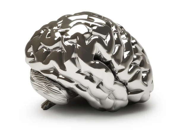 Železný mozek — Stock fotografie