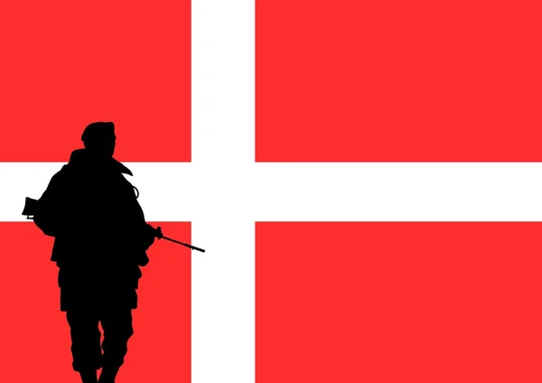 Soldado danés — Foto de Stock