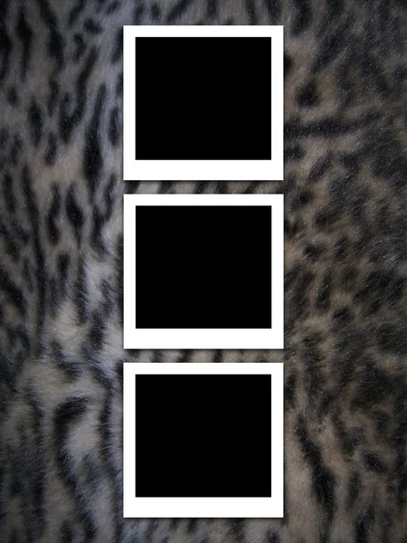 Photos on fur — Stock Photo, Image