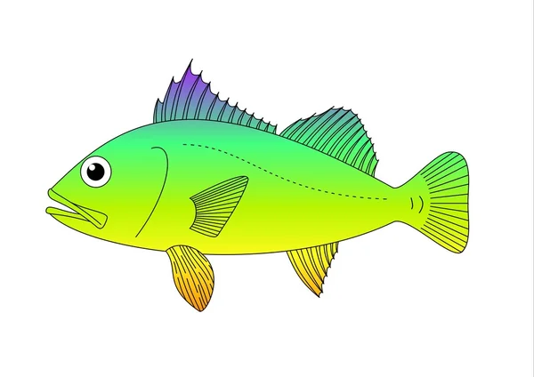 Färgglada fiskar — Stockfoto