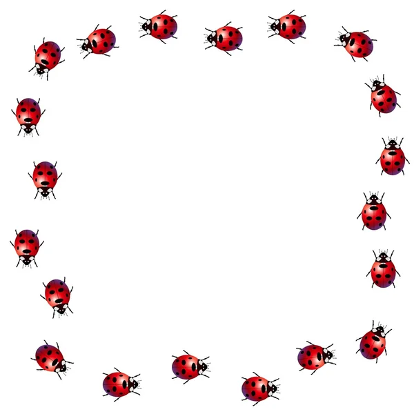 Ladybird frame — Stock Photo, Image