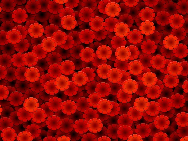 Красные цветы — стоковое фото