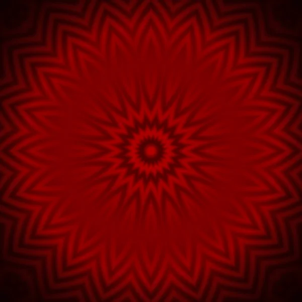 Roter Blütenblatt Hintergrund — Stockfoto