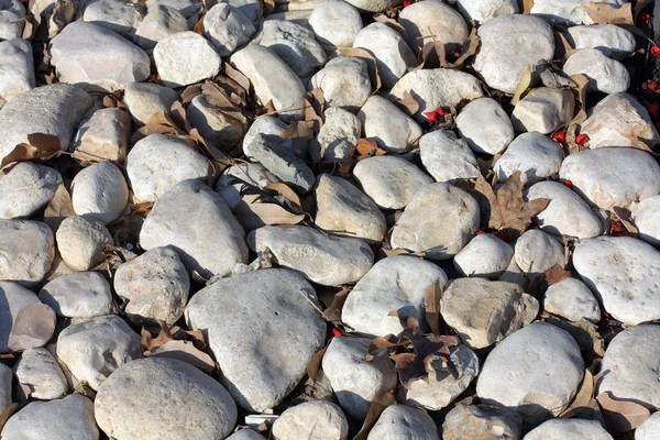 Pedras na pista — Fotografia de Stock