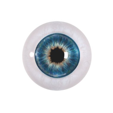 Eyeball isolated on white clipart