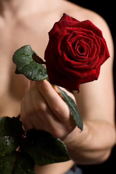 有一朵红玫瑰在手中的人 图库图片