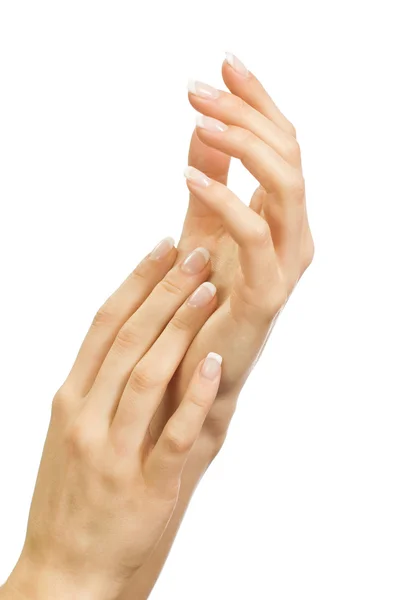 Beautiful Female Hands Isolated White Background — Fotografie, imagine de stoc