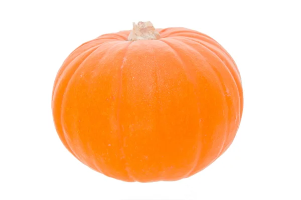 The pumpkin — Stock Photo, Image