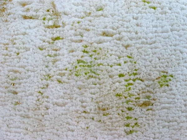 textura de fondo de la piedra