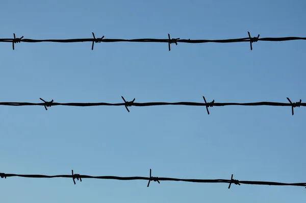 stock image Barbed Wire