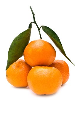 bir mandarine hasat zamanıdır.