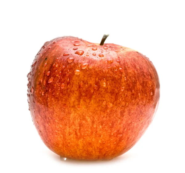 Mokré červené jablko — Stock fotografie