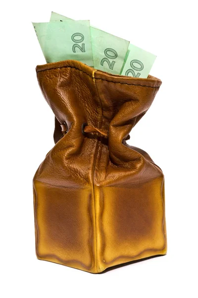 Brown purse — Stock Photo, Image