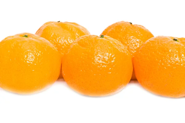Wiersze są mandarine — Zdjęcie stockowe