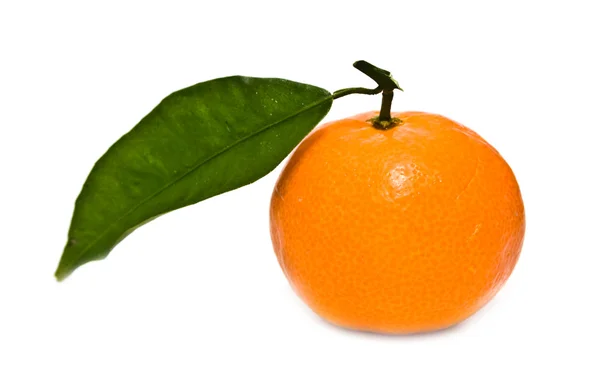 Pequena mandarina — Fotografia de Stock