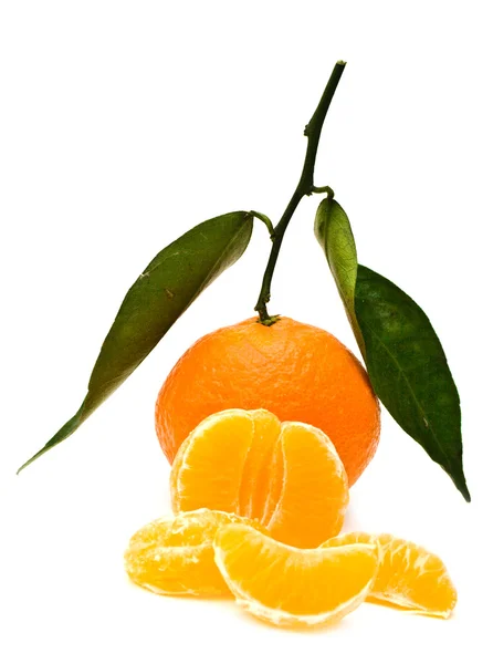 Mandarina e lóbulos — Fotografia de Stock