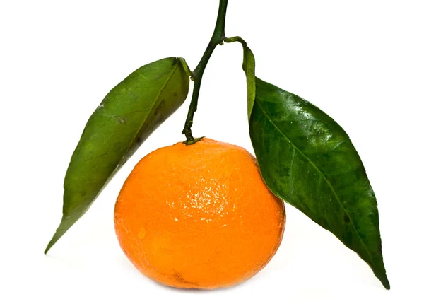 Mandarine avec une feuille — Photo
