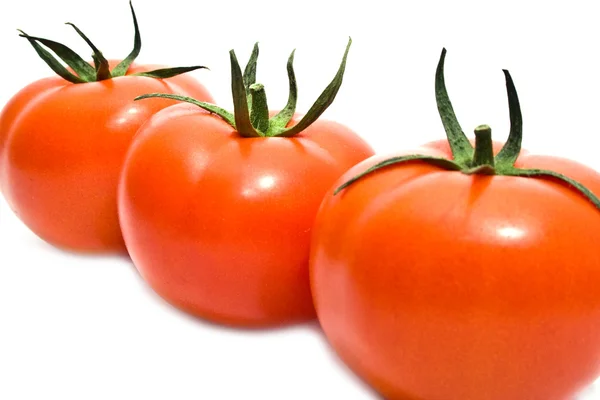 Row is a tomato — Stock Photo, Image