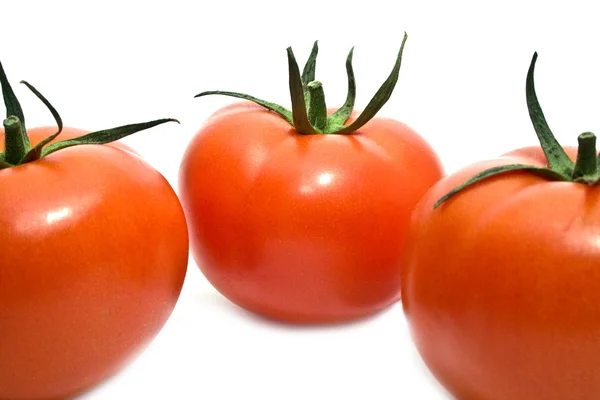 Ganze Tomaten — Stockfoto